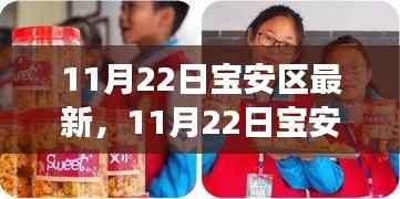 11月22日宝安区最新发展动态及深度解读
