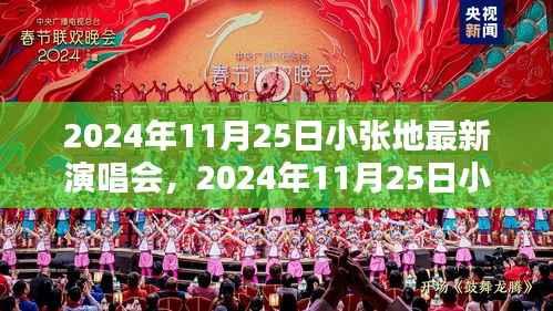 小张音乐盛宴,期待已久的最炫演唱会即将上演