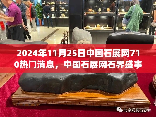 中国石展网盛事揭晓,石界热门消息评测,聚焦石展盛况,日期为2024年11月25日