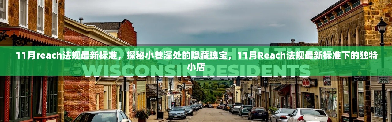 探秘小巷深处的独特小店,揭秘11月Reach法规最新标准下的隐藏瑰宝