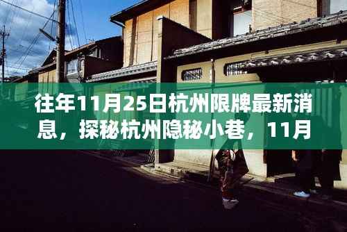 杭州限牌新动态下的隐秘小巷独特风味小店探秘，隐秘小店的独特风味与限牌政策下的新动态观察