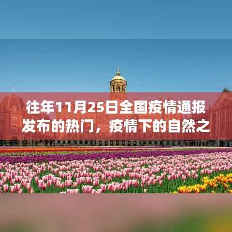 商品分类 第274页