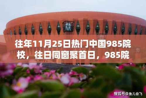 往年11月25日热门中国985院校,往日同窗聚首日,985院校温馨回忆行