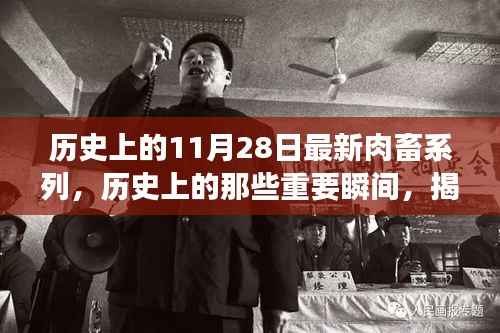 揭秘神秘日期11月28日的肉畜系列故事与历史瞬间回顾
