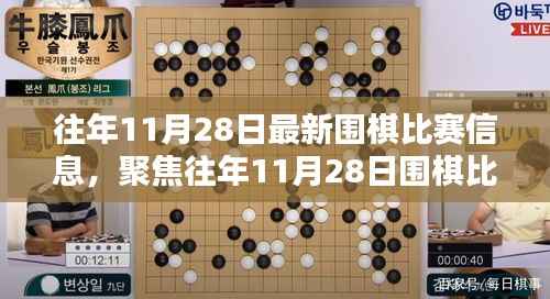 往年11月28日围棋比赛回顾，策略与观点聚焦讨论