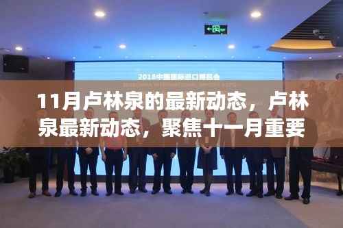 卢林泉最新动态,聚焦十一月重要活动及进展进展