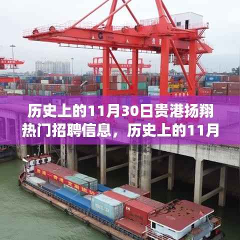 贵港扬翔热门招聘信息全解析,历史上的11月30日回顾与评测