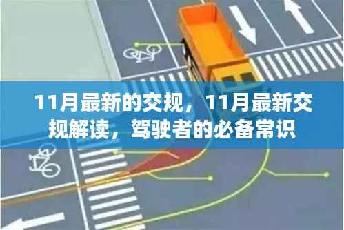 11月最新交规解读,驾驶者必备常识更新