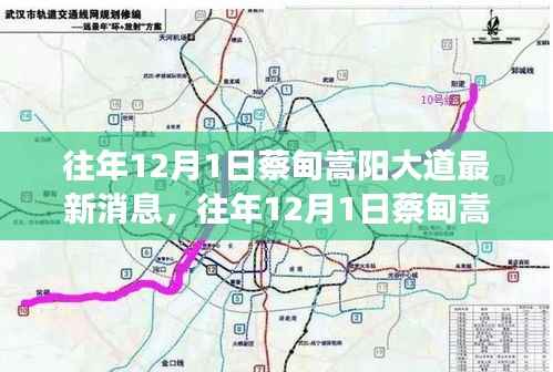 往年12月1日蔡甸嵩阳大道最新进展及消息概述