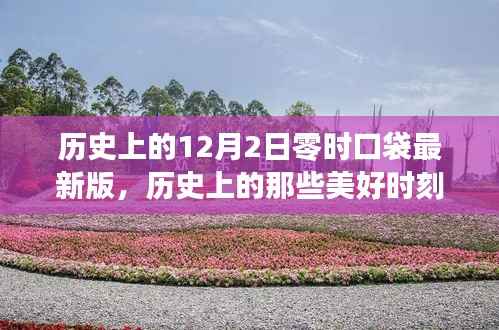 12月2日零时口袋最新版，历史美好时刻与启程自然美景的治愈之旅