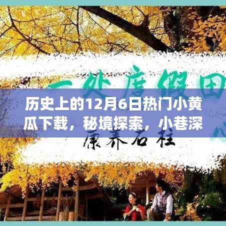 涉黄警示，揭秘历史上的小黄瓜下载与秘境探索背后的故事