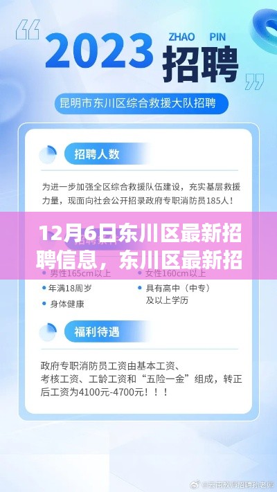12月6日东川区最新招聘信息概览——职场人的福音,新动态发布