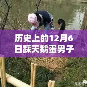 揭秘历史上踩天鹅蛋男子的最新消息与故事回顾