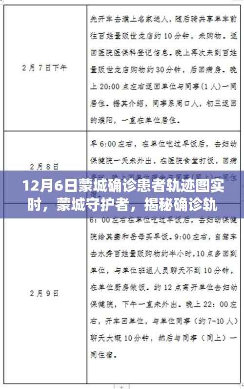 蒙城确诊患者轨迹图实时追踪揭秘,科技重塑防疫新篇章,蒙城守护者的抗疫行动