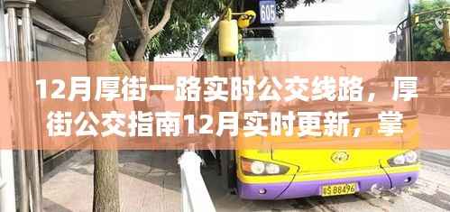 厚街公交指南，最新实时更新线路攻略，畅行无阻的公交之旅🚌