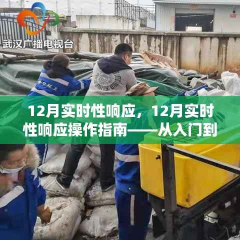 12月实时性响应操作指南，从新手到专家