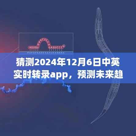 中英实时转录App的未来趋势预测，聚焦2024年12月6日的发展展望