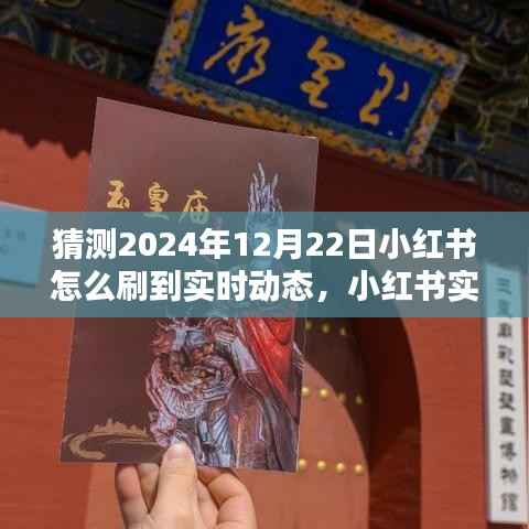 掌握未来动态，小红书实时动态刷新攻略，轻松获取最新资讯