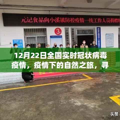 12月22日全国冠状病毒疫情实时更新，疫情下的自然探索与内心平和之旅