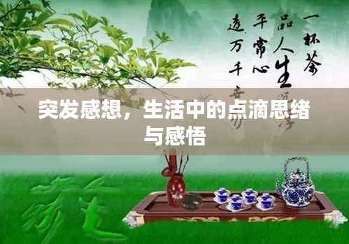 突发感想，生活中的点滴思绪与感悟