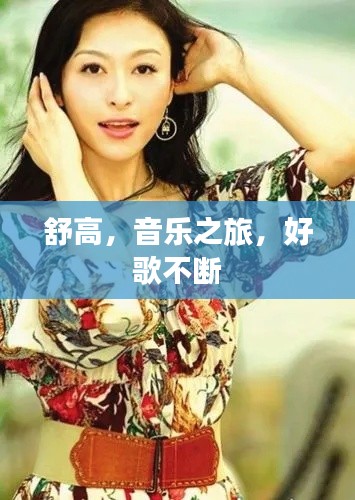 舒高，音乐之旅，好歌不断