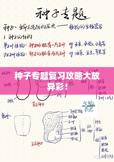 种子专题复习攻略大放异彩!