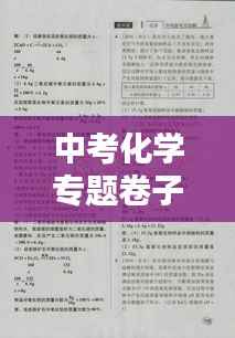 中考化学专题卷子备考策略及技巧解析