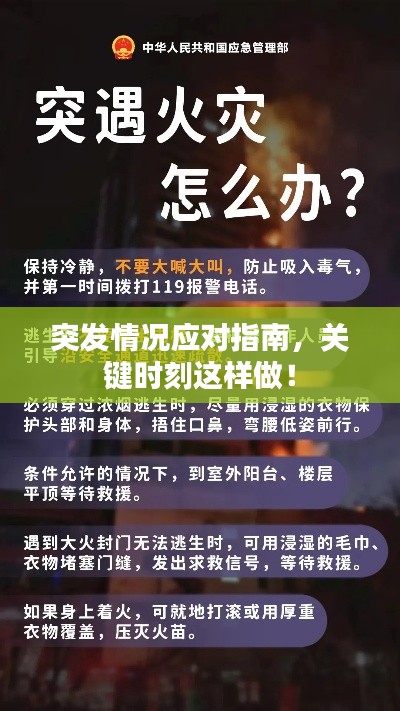 突发情况应对指南,关键时刻这样做!