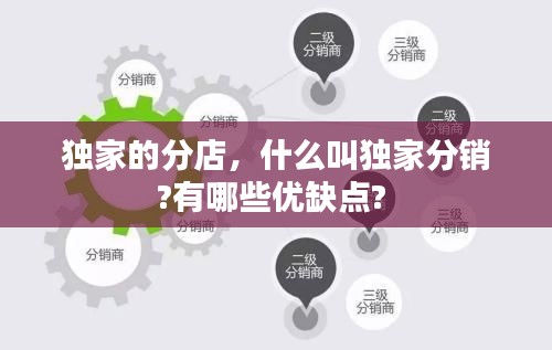 独家的分店,什么叫独家分销?有哪些优缺点?