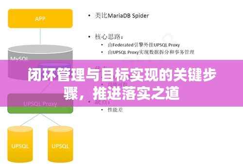 闭环管理与目标实现的关键步骤，推进落实之道