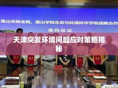 天津突发环境问题应对策略揭秘