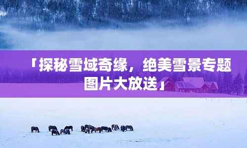 「探秘雪域奇缘,绝美雪景专题图片大放送」