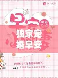 独家宠婚早安小，小说独家宠婚 