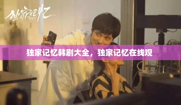 独家记忆韩剧大全,独家记忆在线观