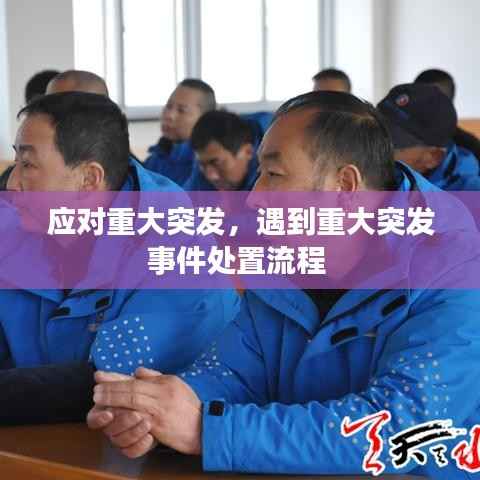 应对重大突发,遇到重大突发事件处置流程
