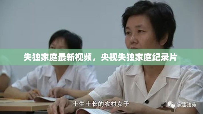 失独家庭最新视频，央视失独家庭纪录片 
