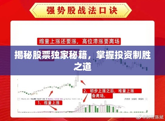 揭秘股票独家秘籍，掌握投资制胜之道