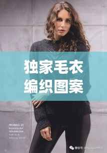 独家毛衣编织图案,传统与创新完美交融的艺术品