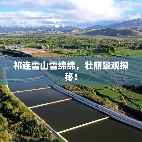 祁连雪山雪绵绵,壮丽景观探秘!