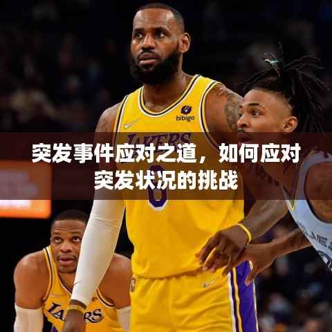 突发事件应对之道,如何应对突发状况的挑战