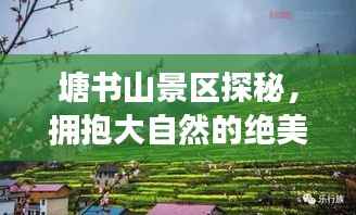 zhengzhongqishi 第10页