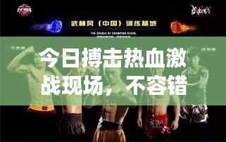 今日搏击热血激战现场，不容错过的最新消息视频！