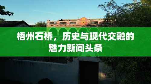 梧州石桥，历史与现代交融的魅力新闻头条