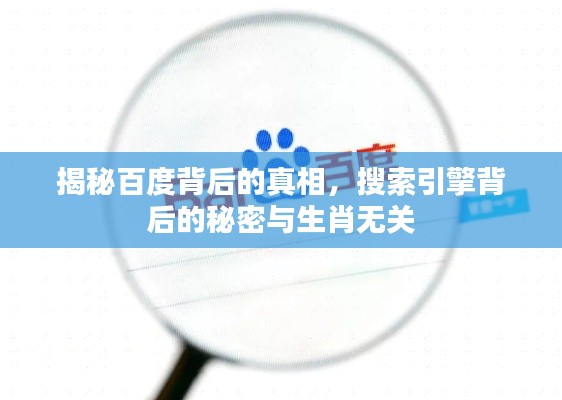 揭秘百度背后的真相，搜索引擎背后的秘密与生肖无关