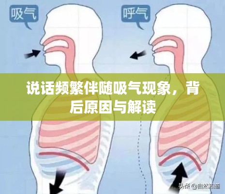 说话频繁伴随吸气现象,背后原因与解读