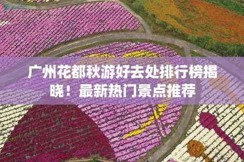 广州花都秋游好去处排行榜揭晓!最新热门景点推荐