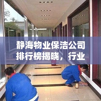 静海物业保洁公司排行榜揭晓,行业影响力不容小觑
