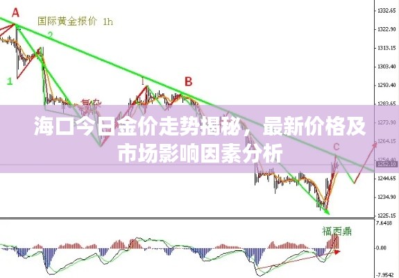 海口今日金价走势揭秘,最新价格及市场影响因素分析