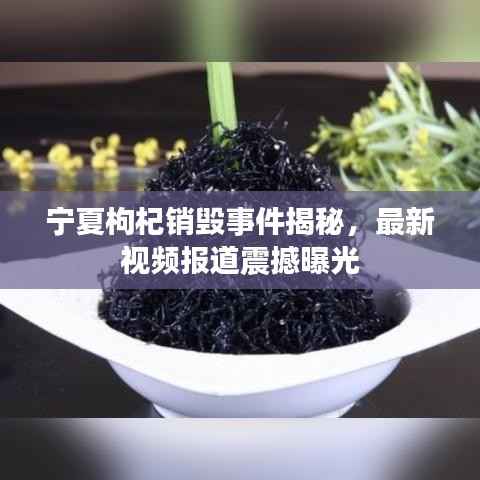 宁夏枸杞销毁事件揭秘，最新视频报道震撼曝光