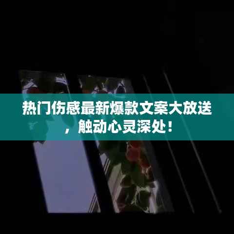 热门伤感最新爆款文案大放送,触动心灵深处!